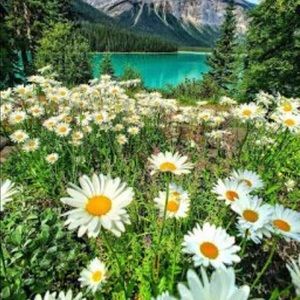 Meet your Posher, Ana margarita